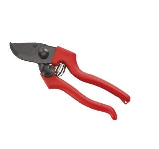 VRTNE ŠKARJE AUSONIA ZA OBREZOVANJE 19CM PROFI 31145