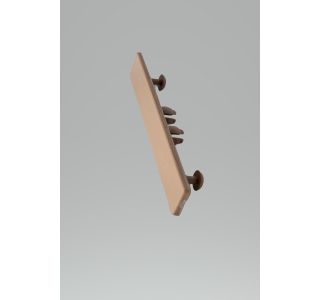 DODATNI MATERIAL BAMBUSWPC ZAKLJUČNI ČEP 3D RJAVA ZA WPC DEB. 23 MM