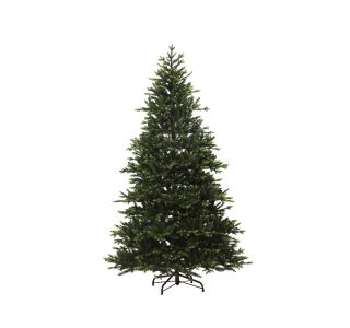 180 CM ZELENA QUEENSLAND FIR