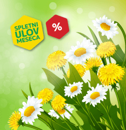 SPLETNI ULOV MESECA