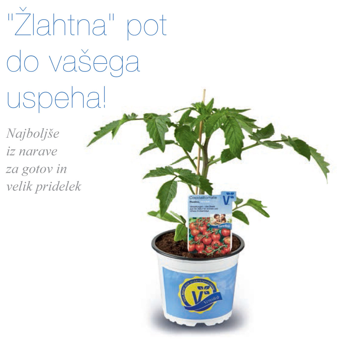 cepljena zelenjava