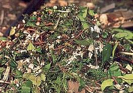 drobilnik-2