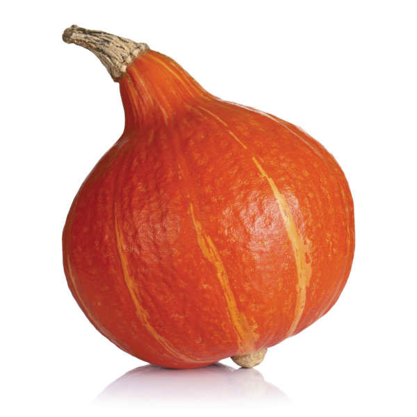 muškatna buča