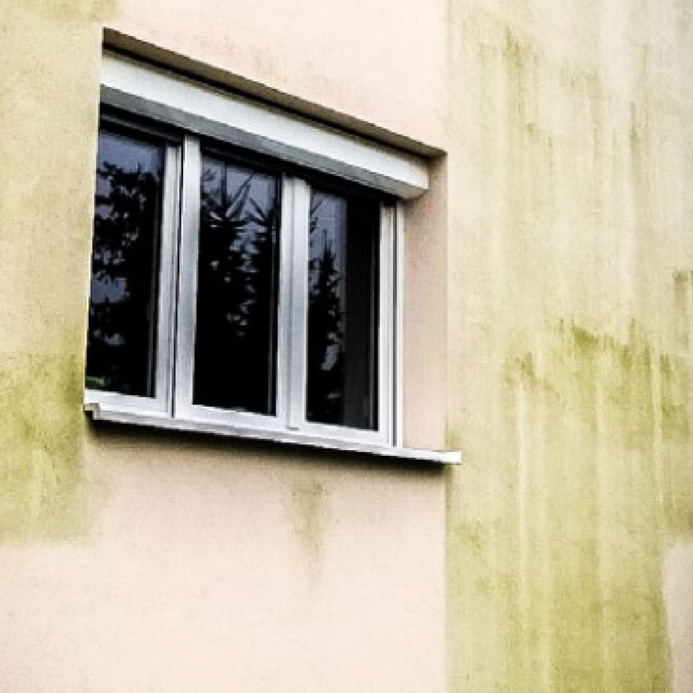Plesen na fasadi Kvalitetna izvedba fasade