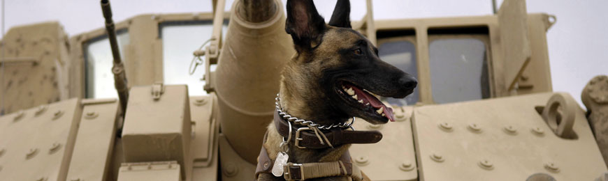 kakovostna prehrana vojaških psov banner