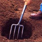 kopanje sadilne jame