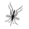 slika-komar